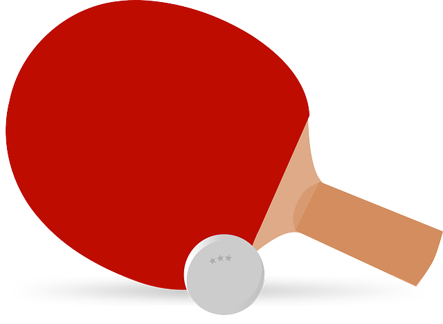 Table Tennis Bat