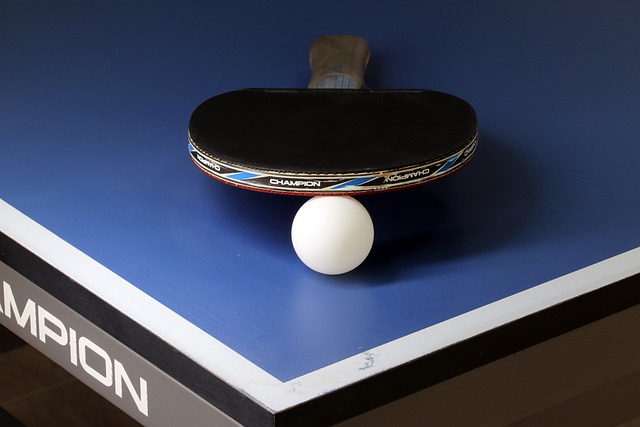 table tennis table and bat