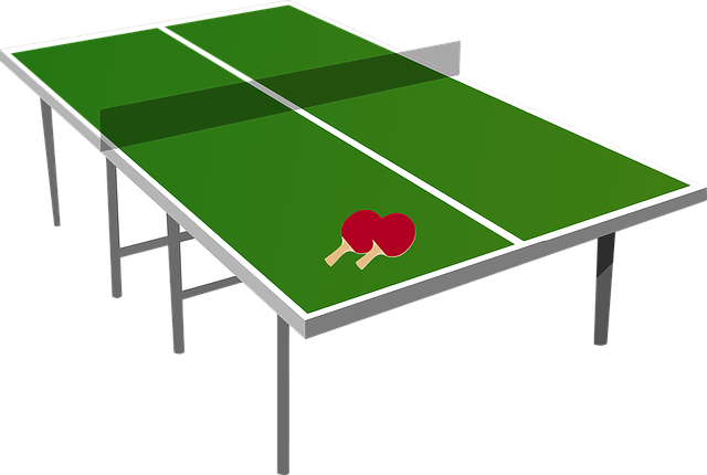 table tennis table